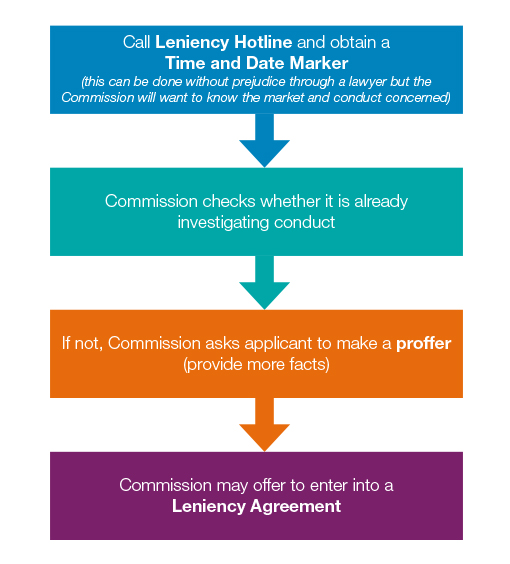 The application process for applying leniency
